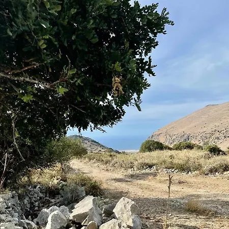 Nyaraló Conte125 Cinisi